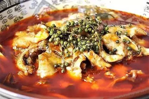【江湖菜】红汤藤椒鱼