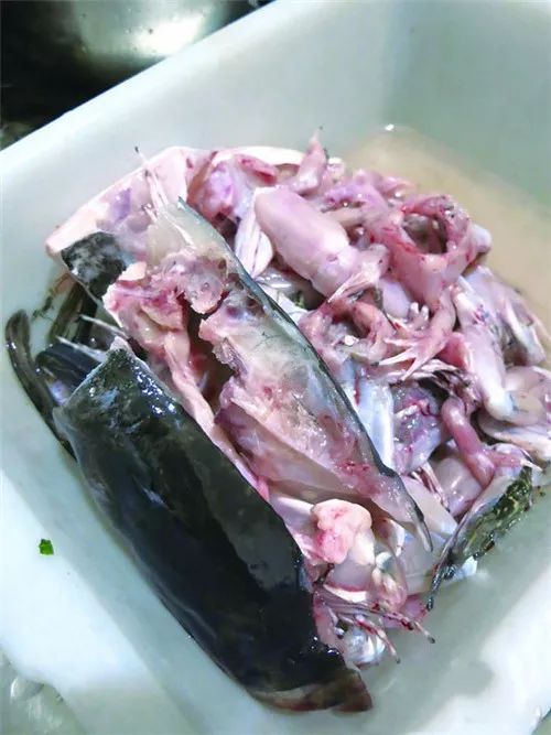 【川菜】美蛙鱼头火锅
