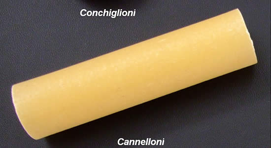 cannelloni.jpg