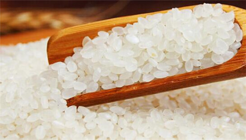 天天吃米饭，可你真的了解什么是好大米吗？