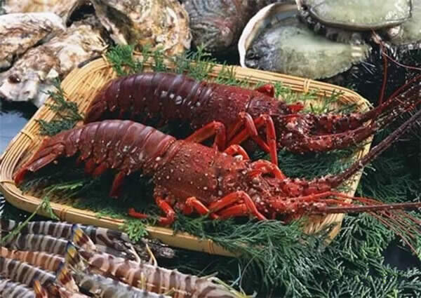 【龙虾】史上最全的龙虾种类大全，看谁还敢忽悠你！.jpg
