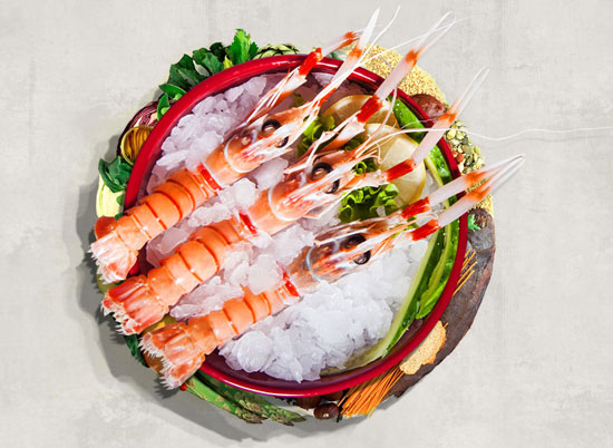 【南极螯虾】来自深海的奢侈食材——南极深海螯虾