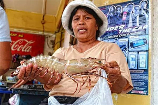 世界最大的对虾，比你手臂还长！