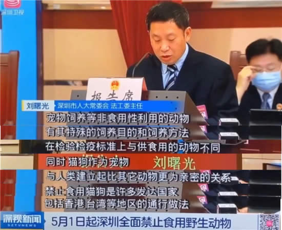 最强“禁野令”！深圳成首个立法“禁食猫狗”的城市!