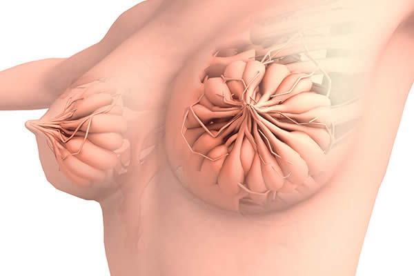 乳腺增生症状 乳腺增生的病因