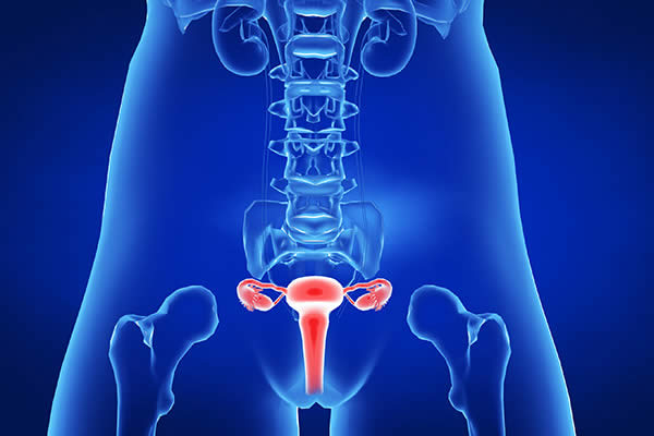 子宫肌瘤是什么原因导致的 子宫肌瘤是怎么引起的