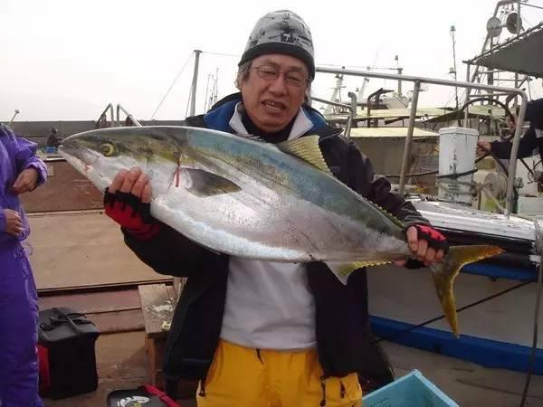 鰤鱼，冲击灵魂的顶级食材