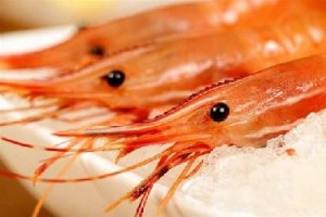 全球海虾中的极品，牡丹虾走红餐桌