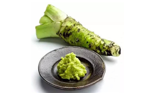 【山葵】世界最贵蔬菜之一，一斤卖八百！