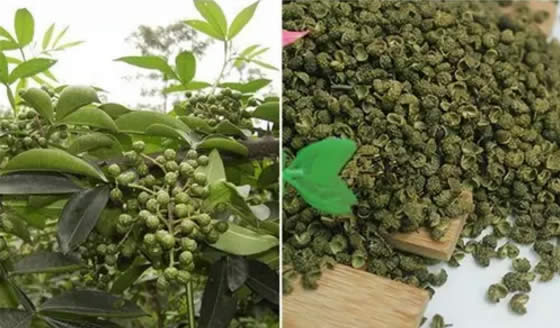 17种川菜用的特殊香料，你都见过吗？