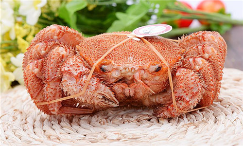 【红毛蟹】日本三大名蟹之一，10年的成长才有幸爬上你的餐桌
