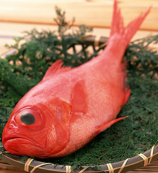 【金目鲷】鲜美的深海红色吉祥鱼——金目鲷