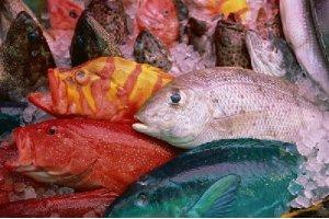 盘点香港海鲜市场的顶级海鲜食材
