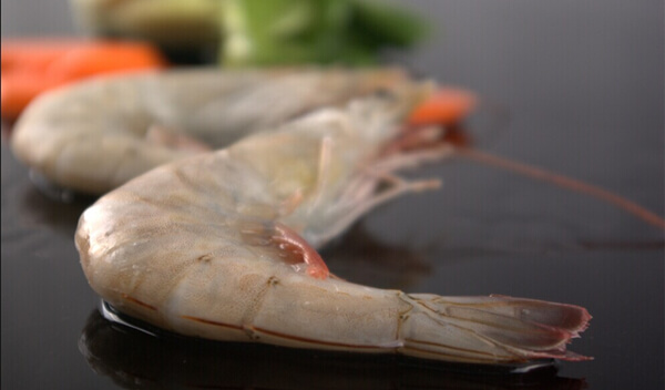 【白虾】厄瓜多尔白虾很火，但这几个常见问题，你都了解吗？