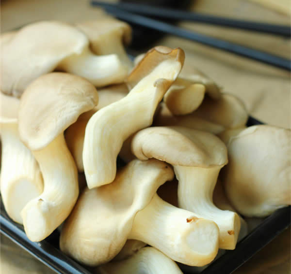 【袖珍菇】平价味美的味精菇——袖珍菇