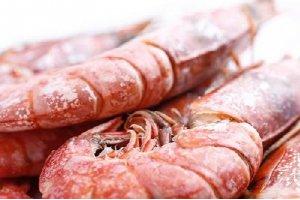 阿根廷红虾从海洋到餐桌的全过程解密