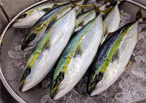日本人最爱吃的鱼——平安鱼