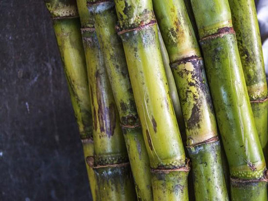 【竹蔗】皮绿身直似竹的果中佳品——竹蔗