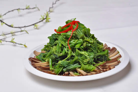 【龙须菜】夏季减肥的最佳素食——龙须菜