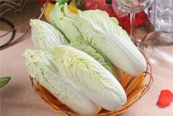 【大白菜】白菜不如大白菜，真的假的？