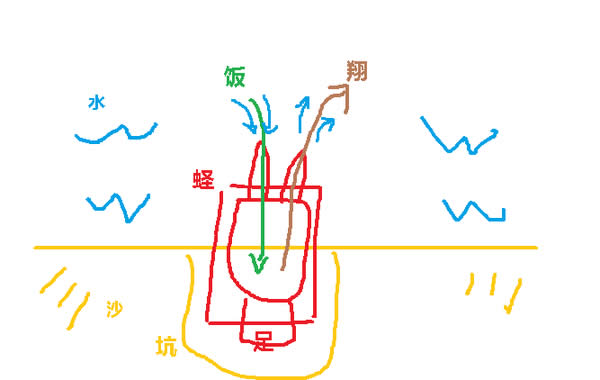 这些带壳的家伙，你都分得清吗？