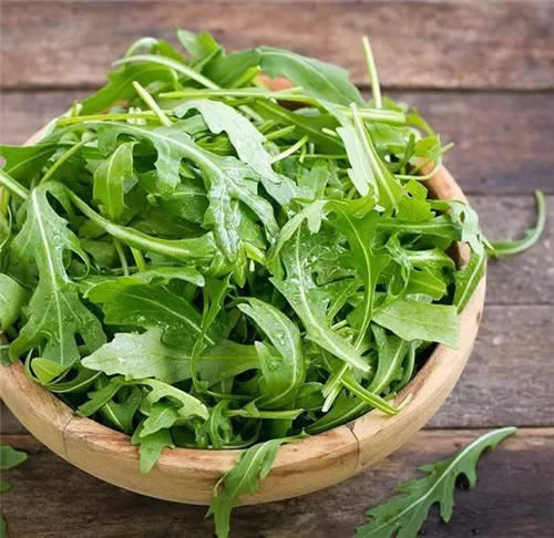 绿叶蔬菜里的战斗机——火箭生菜