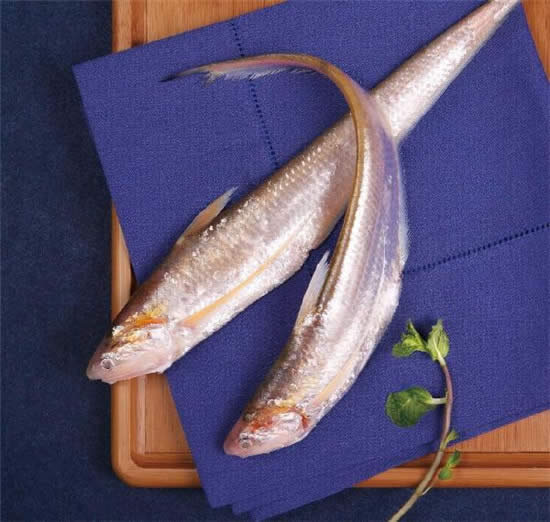 【刀鱼】春季最早的时令鲜鱼，也是当今国内的天价鱼