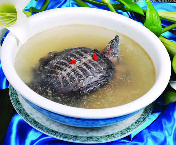 鹿角菜蛤蚧水鱼汤的做法
