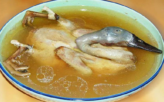 鲜姬松茸炖白鹭鸭做法