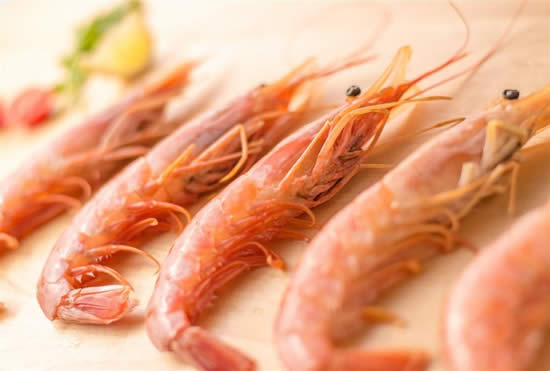 【牡丹虾】全球海虾中的极品：牡丹虾走红餐桌