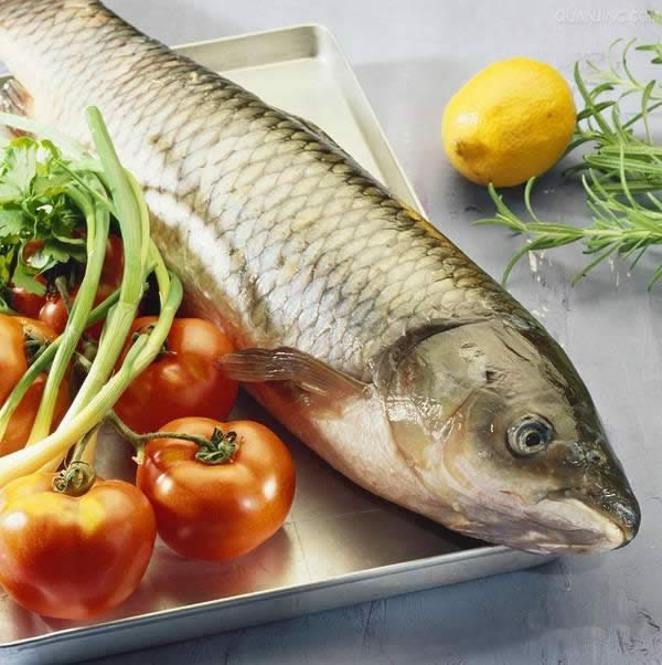 【水产】餐桌上最最常见的鱼类及吃法大全，你吃过几种（一）