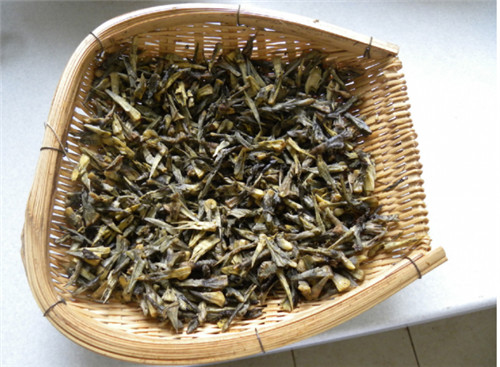 在云南，最名贵的野生菌不是松茸，是它！