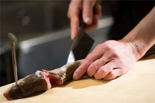 鳗鱼要被日本人吃光了？每斤竟然卖到1.5万美金！