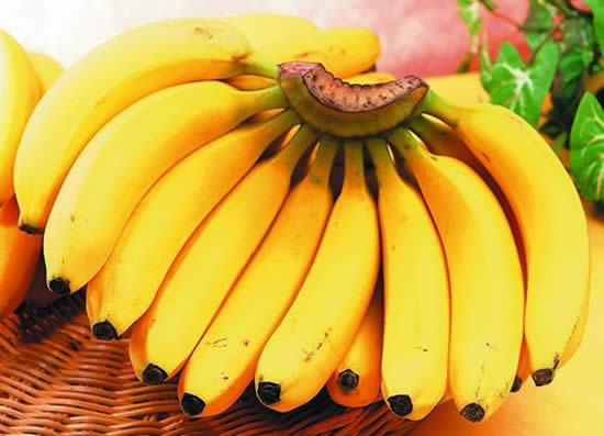 【香蕉】上帝赐予的智慧之果——香蕉