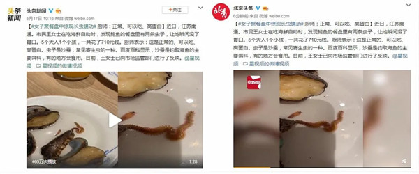 顾客餐盘里的鲍鱼爬出两条虫，厨师：这是能吃的！随即，网友们反应很激烈！