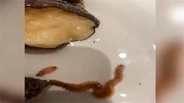 顾客餐盘里的鲍鱼爬出两条虫，厨师：这是能吃的！随即，网友们反应很激烈！
