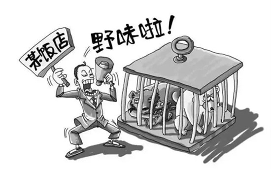 13省市出台禁野令！北京版禁野令，随意放生也要处罚！