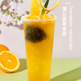 蒲公英草本茶的做法