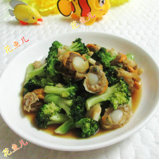 扇贝肉炒西兰花的做法