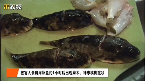 明知有毒，仍轻信自己手艺！上海一男子吃成植物人，厨师被判刑！