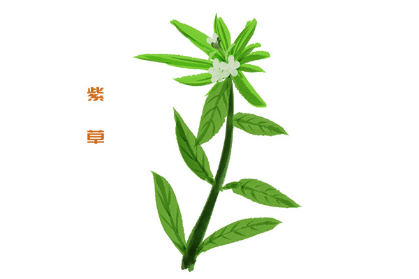 紫草膏1.jpg