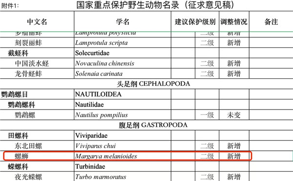 “螺蛳”将列为二级保护动物，这是否表示，厨师不能用螺蛳做菜了？