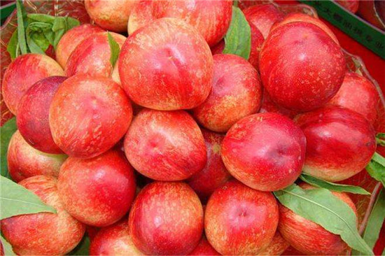 8月吃什么水果？这3种桃子最应季！哪种甜？哪种脆？这样挑才对