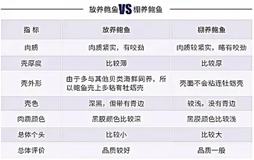 鲜鲍、濑尿虾选料、鉴别、加工、烹制全攻略（附多款创新菜式）