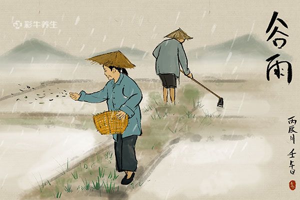 谷雨是几月几号