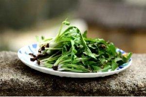 春季著名野菜大全，你都吃过多少种？