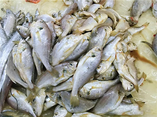 150余种沿海地区河海鲜，做厨师的一定要认识