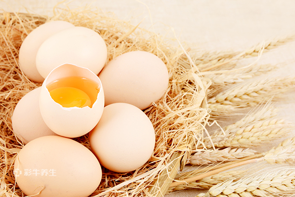 一个鸡蛋的热量 一个鸡蛋的热量是多少卡路里