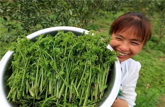 春季著名野菜大全，你都吃过多少种？