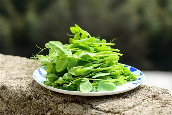 春季著名野菜大全，你都吃过多少种？